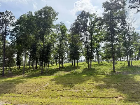 lot72 Western Rd, Livingston, TX 77351