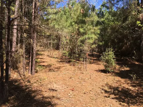0 E Marion Ab 720 18 22 Ac, Kennard, TX 75847