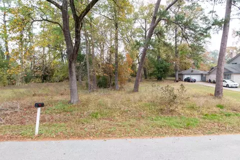 24510 Pine Canyon Dr, Spring, TX 77380 photo 2