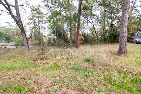 24510 Pine Canyon Dr, Spring, TX 77380 photo 5