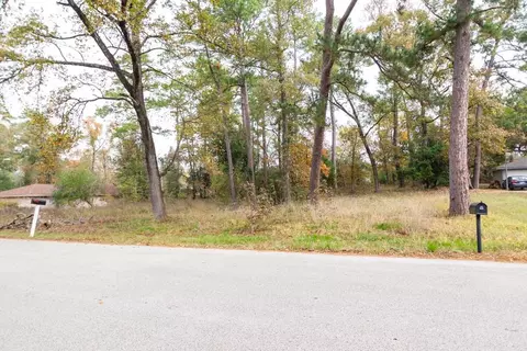 24510 Pine Canyon Dr, Spring, TX 77380 photo 3