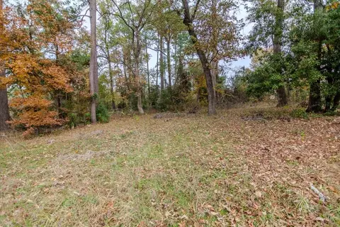 24510 Pine Canyon Dr, Spring, TX 77380 photo 9