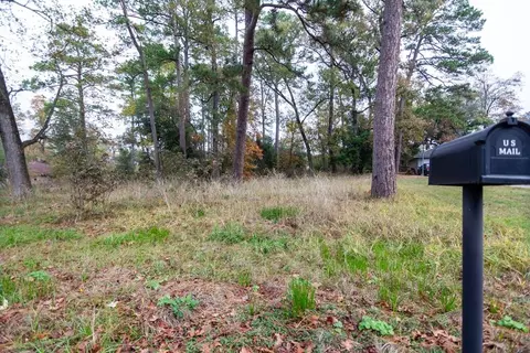24510 Pine Canyon Dr, Spring, TX 77380 photo 6