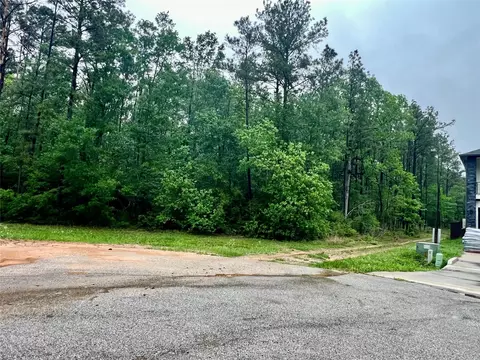 1069 Runner Dr, Dayton, TX 77535