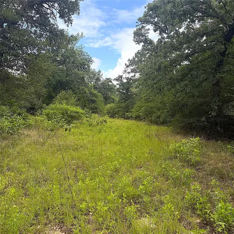 tbd Pr 4045, Centerville, TX 75833 photo 2