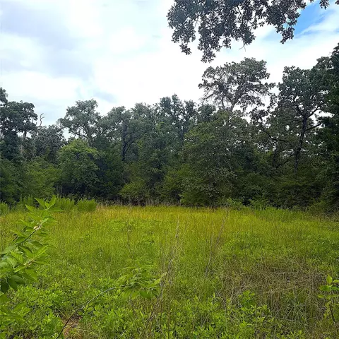 tbd Pr 4045, Centerville, TX 75833 photo 3