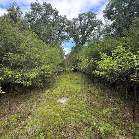 tbd Pr 4045, Centerville, TX 75833 photo 7