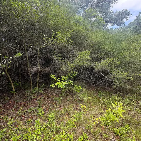 tbd Pr 4045, Centerville, TX 75833 photo 6