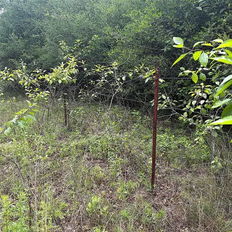 tbd Pr 4045, Centerville, TX 75833 photo 5