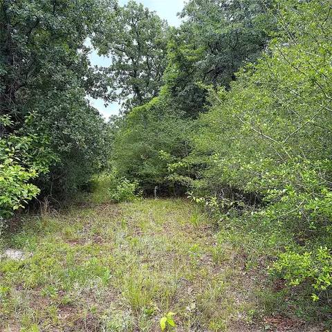tbd Pr 4045, Centerville, TX 75833 photo 9