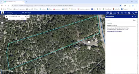 1750 Skyline Dr, Canyon Lake, TX 78133