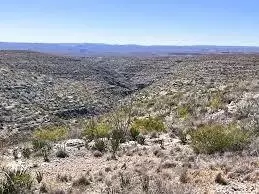 0 Tract 1, Dryden, TX 78851