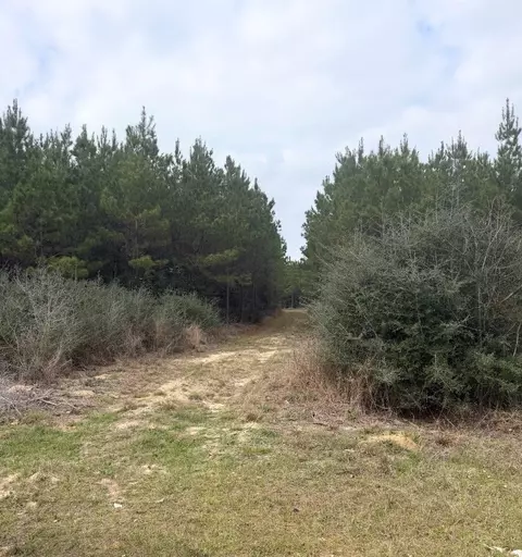 10489 Us Highway 190 E, Livingston, TX 77351