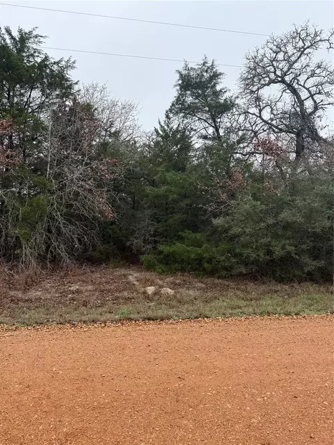 0 Coyote Run Ln, Carmine, TX 78932