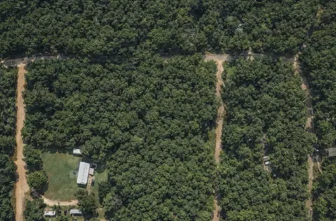 00 Glenn Campbell Rd, Livingston, TX 77351