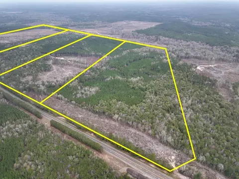 3 Us 190, Newton, TX 75966