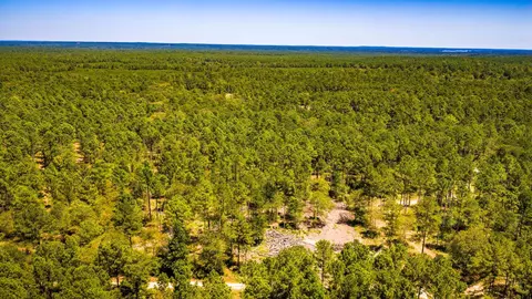 View/Area - tbd E Lakeview Dr, Trinity, TX 75862 photo 5 of 15