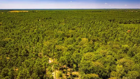 View/Area - tbd E Lakeview Dr, Trinity, TX 75862 photo 9 of 15