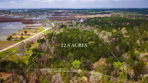 160 Triple Creek Dr, Livingston, TX 77351