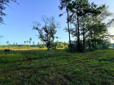 000 Fm 1003, Kountze, TX 77625