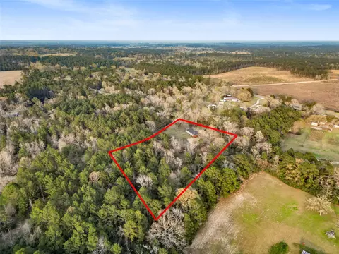 View/Area - 301 Pineland Dr, Trinity, TX 75862 photo 7 of 7