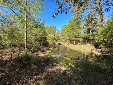 1529 Pinecrest Rd, Trinity, TX 75862