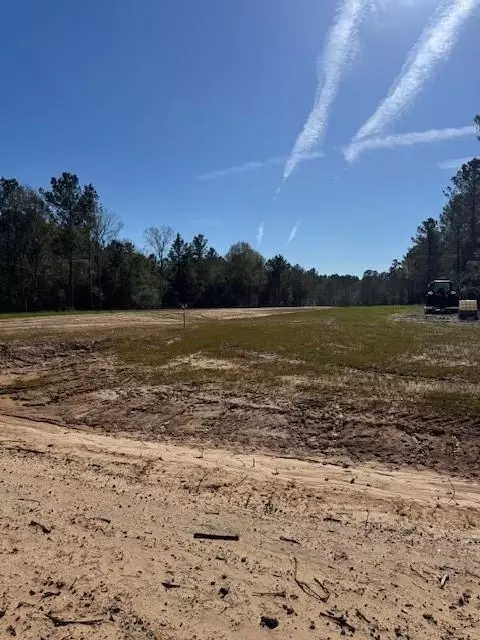 tbd Redhead Rd #LOT 58, Livingston, TX 77351