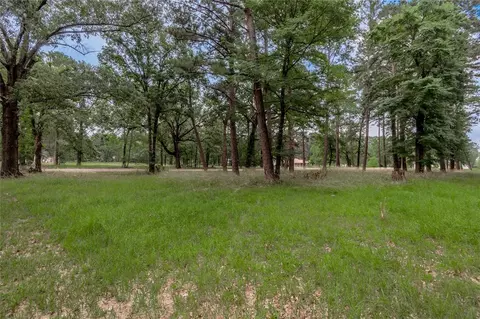 lot38 Peach Point Ln, Trinity, TX 75862 photo 11