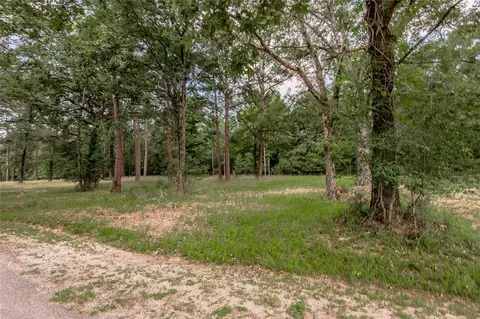 lot38 Peach Point Ln, Trinity, TX 75862 photo 4