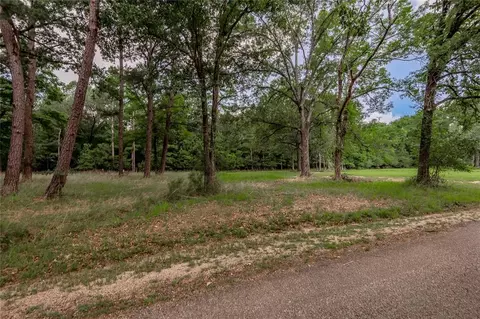 lot38 Peach Point Ln, Trinity, TX 75862 photo 6
