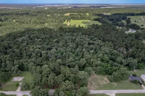 lot38 Peach Point Ln, Trinity, TX 75862 photo 14