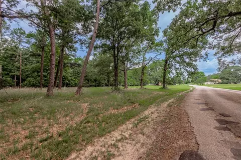 lot38 Peach Point Ln, Trinity, TX 75862 photo 8