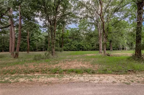 lot38 Peach Point Ln, Trinity, TX 75862 photo 5