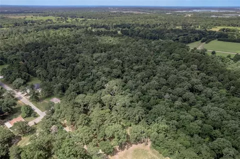 lot38 Peach Point Ln, Trinity, TX 75862 photo 19