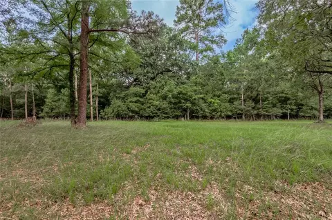 lot38 Peach Point Ln, Trinity, TX 75862 photo 10