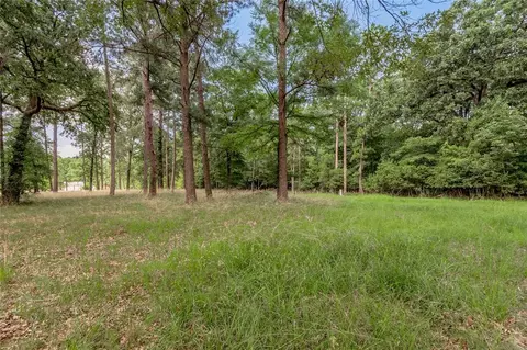 lot38 Peach Point Ln, Trinity, TX 75862 photo 13