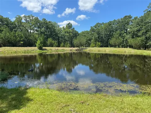 289 William Thomas Rd, Huntsville, TX 77320