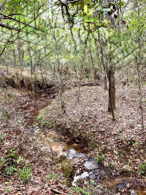 tbd Tony Peebles Rd, Livingston, TX 77351