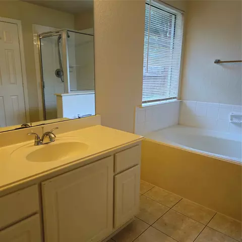 Bath - 42 Drifting Shadows Cir, Conroe, TX 77385 photo 3 of 4