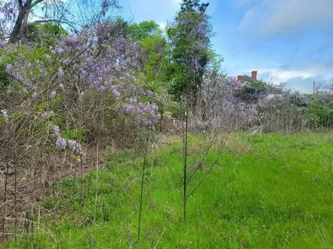 303 S Carter St, Marshall, TX 75670