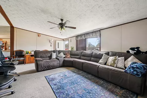 Living - 30318 Binford Pl, Waller, TX 77484 photo 5 of 5