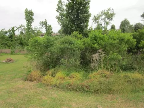 192 Maple Cv, Onalaska, TX 77360