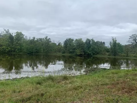 25572 Johnson Rd, Montgomery, TX 77356