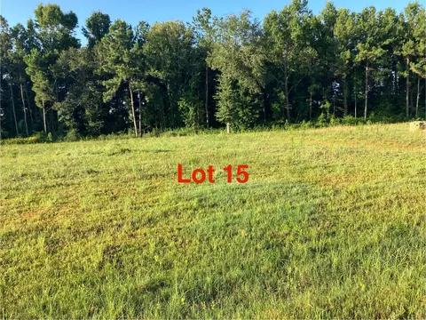 1041 Tarkington Timbers Dr, Cleveland, TX 77327