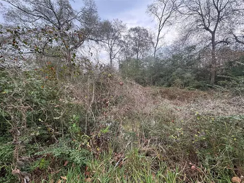 0 N Bonnie Lake Dr, Hempstead, TX 77445