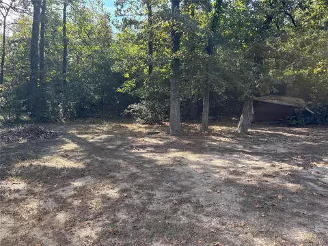 Exterior - 1311 Big Hawg Dr, Trinity, TX 75862 photo 3 of 4