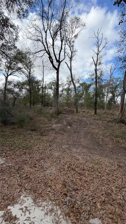 25028 Leitrim St, Hempstead, TX 77445