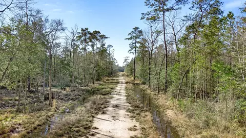12310 Picos Rd, Saratoga, TX 77585