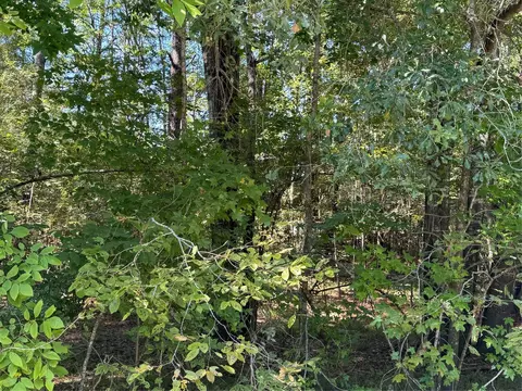 0 Caney Crk, Huntsville, TX 77320