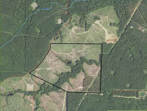 Tr4-strickland Private Rd, Waskom, TX 75962